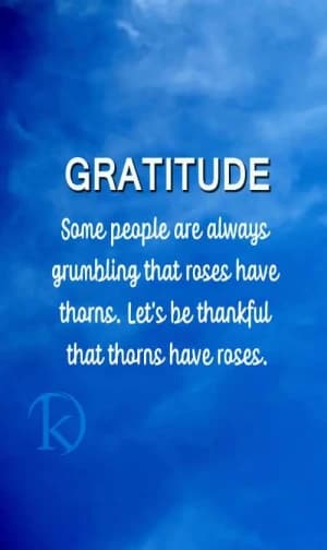 GRATITUDE: Some people are always grumbling that roses have thorns. Let's be thankful that roses have thorns.