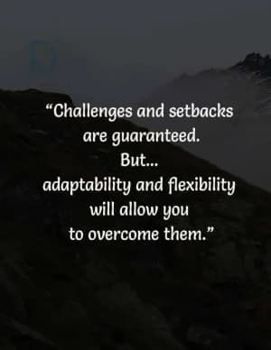 Challenges and setbacks are guaranteed. But adaptability and flexibility will allow you to overcome them.