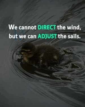 We cannot direct the wind, but we can adjust the sails.
