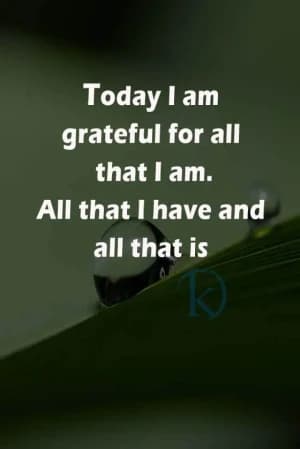 Today I am grateful for all that I am. All that I have and all that is.