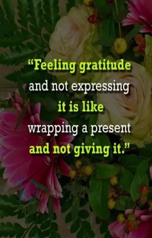Feeling gratitude and not expressing it is like wrapping a present and not giving it.