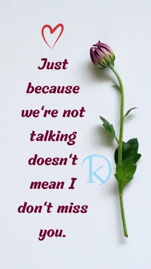 Just because we're not talking doesn't mean I don't miss you.