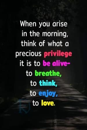When you arise in the morning, think of what a precious privilege it is to be alive-to breathe, to think, to enjoy, to love.