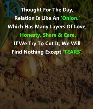 Thought for the day: Relation is like an onion. Which has many layers of love, honesty, share and care. If we try to cut it, we will find nothing except tears.