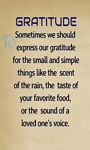 GRATITUDE: Sometimes we should express our gratitude for the small and simple things like the scent of the rain, the taste of your favorite food, or the sound of a loved one's voice.
