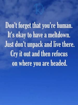 Don't forget that you're human. It's okay to have a meltdown. Just don't unpack and live there. Cry it out and then refocus on where you are headed.