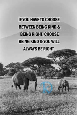 If you have to choose between being kind and being right, choose being kind, and you will always be right.