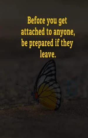 Before you get attached to anyone, be prepared if they leave.