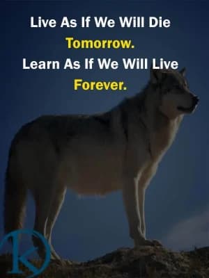 Live as if we will die tomorrow. Learn as if we will live forever.