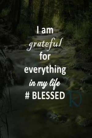 I Am Grateful For Everything In My Life. #Blessed