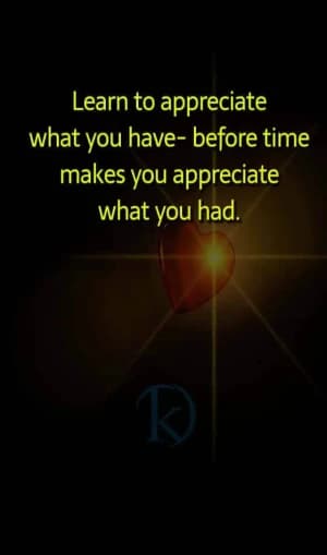 Learn to appreciate what you have before time makes you appreciate what you had.