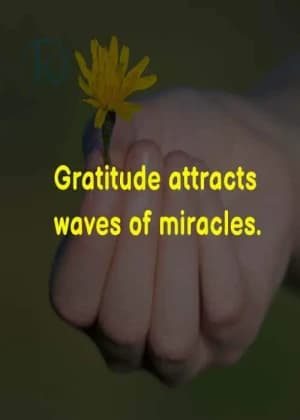 Gratitude attracts waves of miracles.