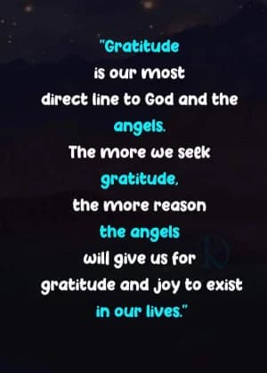 Gratitude is our most direct line to God and the angels.  The more we seek gratitude, the more reason the angels will give us for gratitude and joy to exist in our lives.