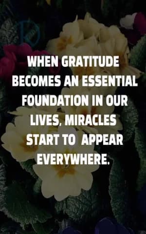 WHEN GRATITUDE BECOMES AN ESSENTIAL FOUNDATION IN OUR LIVES, MIRACLES START TO APPEAR EVERYWHERE.