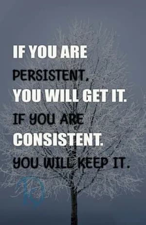 IF YOU ARE PERSISTENT, YOU WILL GET IT. IF YOU ARE CONSISTENT. YOU WILL KEEP IT: