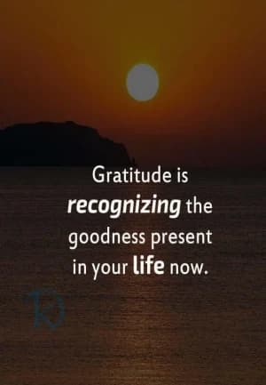Gratitude is recognizing the goodness present in your life now.