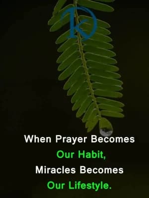 When prayer becomes our habit, miracles become our lifestyle.
