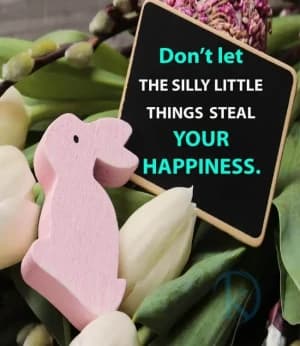 Don't let silly little things steal your happiness.