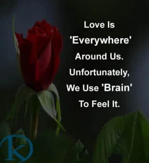 Love Is 'Everywhere' Around Us. Unfortunately, We Use 'Brain' To Feel It.