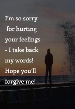 I'm so sorry for hurting your feelings - I take back my words! Hope you'll forgive me!