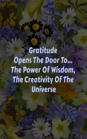 Gratitude opens the door to the power of wisdom, the creativity of the universe.