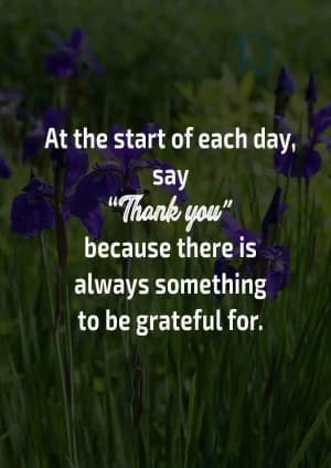 At the start of each day, say "Thank you" because there is always something to be grateful for.
