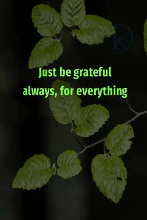 Just be grateful always, for everything.