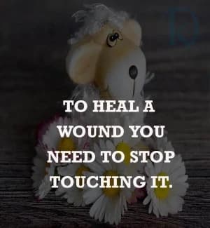 To heal a wound, you need to stop touching it.