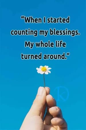 When I started counting my blessings, my whole life turned around.