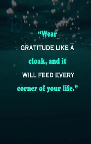 Wear gratitude like a cloak, and it will feed every corner of your life.