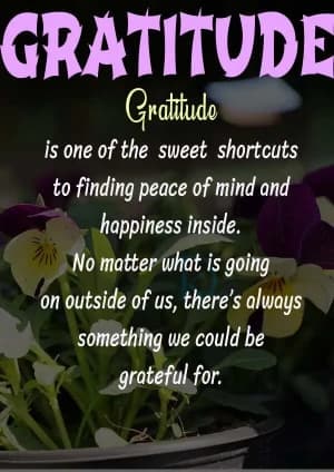GRATITUDE: Gratitude is one of the sweet shortcuts to finding peace of mind and happiness inside. No matter what is going on outside of us, there's always something we could be grateful for.