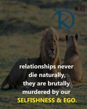 Relationships never die naturally; they are brutally murdered by our selfishness and ego.