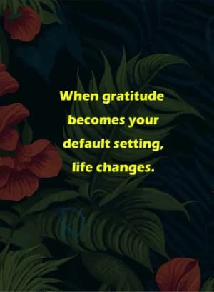 When gratitude becomes your default setting, life changes.