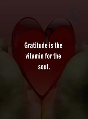 Gratitude is the vitamin for the soul.