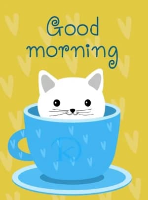 Good morning
