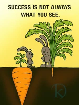SUCCESS IS NOT ALWAYS WHAT YOU SEE.