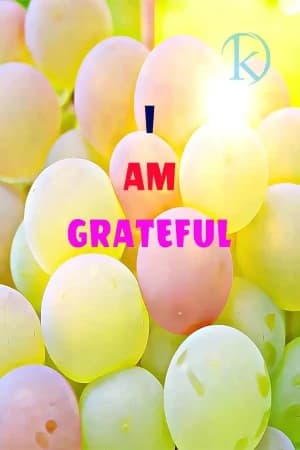 I Am Grateful