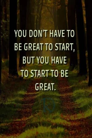 YOU DON'T HAVE TO BE GREAT TO START, BUT YOU HAVE TO START TO BE GREAT.