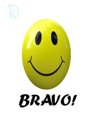 BRAVO!