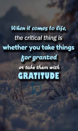 When it comes to life, the critical thing is whether you take things for granted or take them with gratitude.