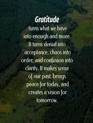 Gratitude turns what we have into enough and more. It turns denial into acceptance, chaos into order, and confusion into clarity. It makes sense of our past, brings peace for today, and creates a vision for tomorrow.