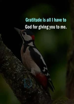 Gratitude is all I have for God for giving you to me.