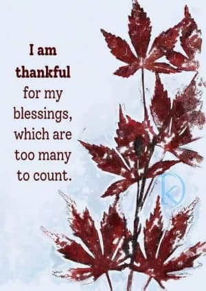 I am thankful for my blessings, which are too many to count.