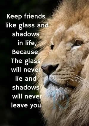 Keep friends like glass and shadows in life. Because the glass will never lie, and shadows will never leave you