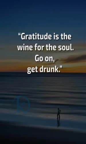 Gratitude is the wine for the soul. Go on, get drunk.