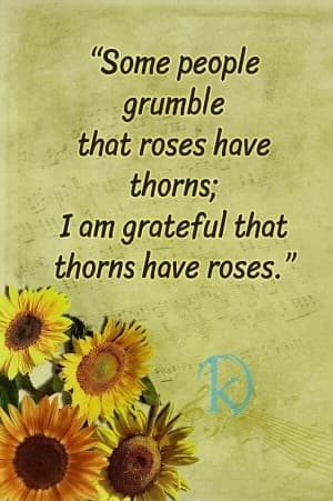 Some people grumble that roses have thorns; I am grateful that thorns have roses.