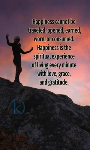 Happiness cannot be traveled, opened, earned, worn, or consumed. Happiness is the spiritual experience of living every minute with love, grace, and gratitude.