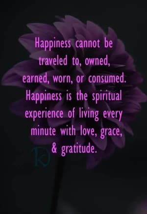 Happiness cannot be traveled to, owned, earned, worn, or consumed. Happiness is the spiritual experience of living every minute with love, grace, and gratitude.