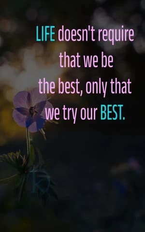 LIFE doesn't require that we be the best, only that we try our BEST.