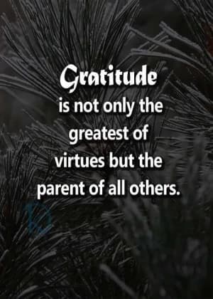 Gratitude is not only the greatest of virtues but also the parent of all others.